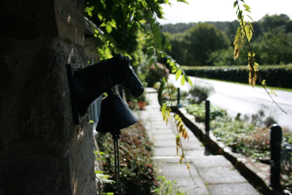 The Bark House Hotel Tiverton  Eksteriør billede