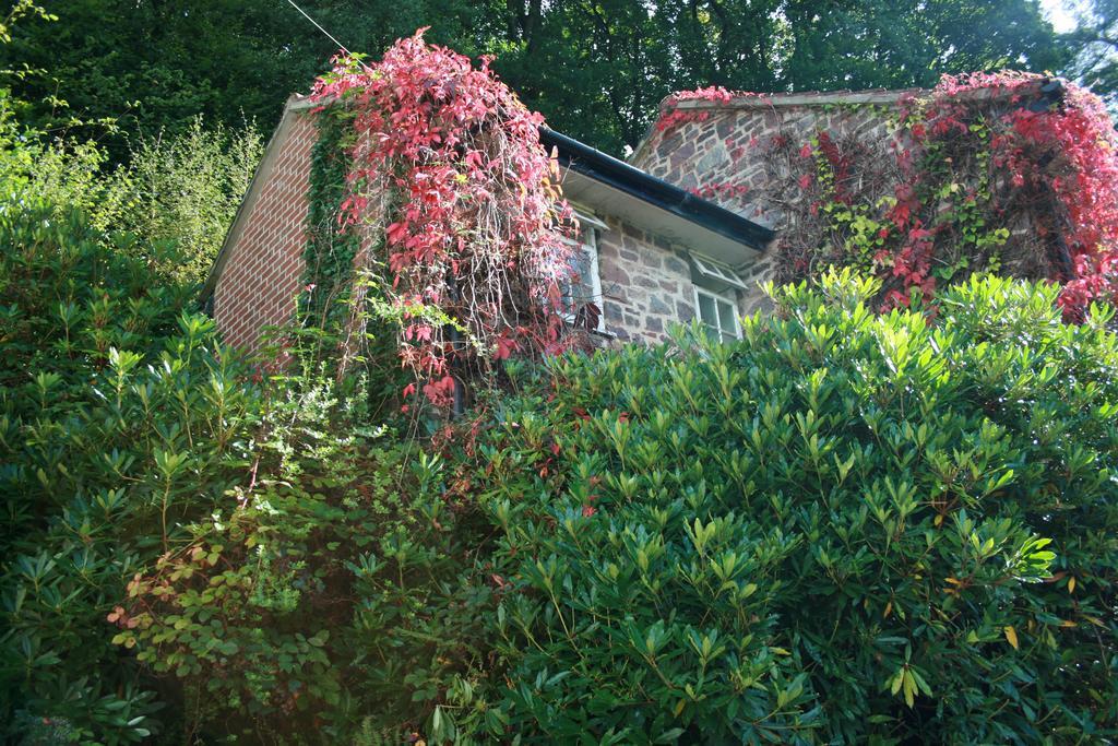 The Bark House Hotel Tiverton  Eksteriør billede
