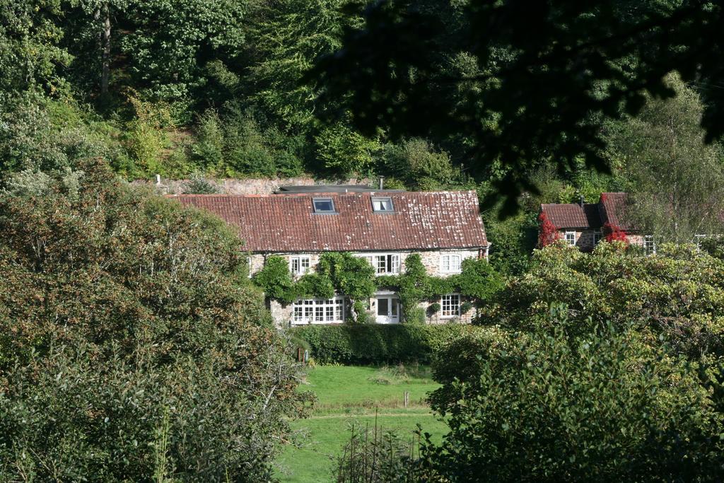 The Bark House Hotel Tiverton  Eksteriør billede