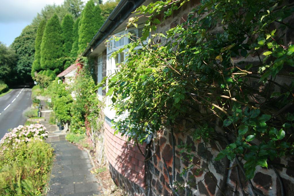 The Bark House Hotel Tiverton  Eksteriør billede